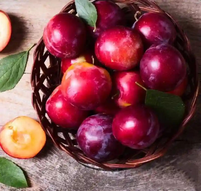 5 Benefits Of Plums For Skin And Good Health - Tips